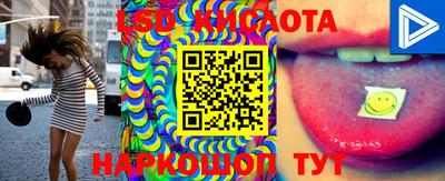 стаф Донской