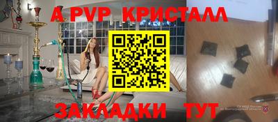 стаф Донской