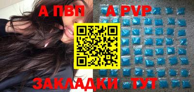 стаф Донской