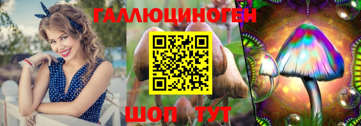 Псилоцибиновые грибы ЛСД  Вход с VPN  Междуреченск 